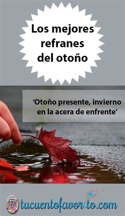 Los mejores refranes de otoño explicados para niños