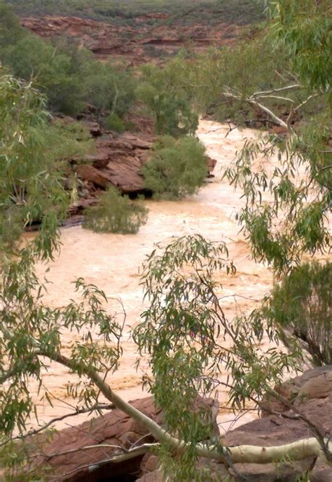 Kalbarri National Park | Kalbarri national park, National parks, Trip