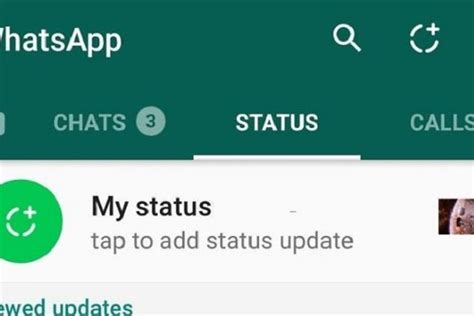 Langkah Cepat Sembunyikan Status Whatsapp Pribadi Dari Kontak Teman