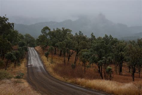 Carnarvon Gorge | Getting There | Australian Nature Guides