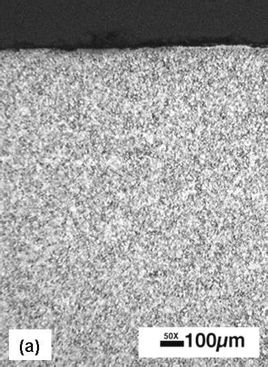 Photomicrographs That Show The Difference In Oxide Thickness On The A