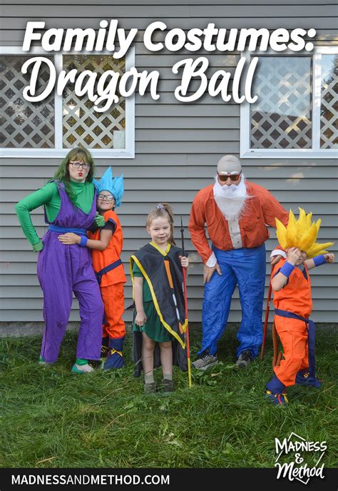 dragon ball family costumes