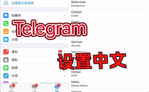 电报telegram中文设置方法，超简单 哔哩哔哩 Bilibili