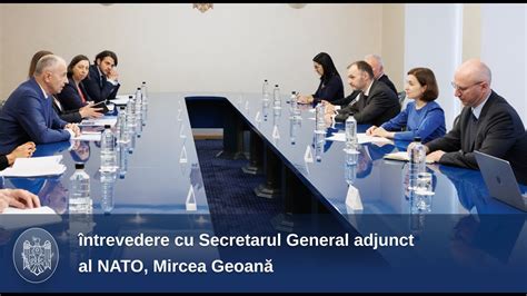 Întrevedere cu Secretarul General adjunct al NATO Mircea Geoană YouTube