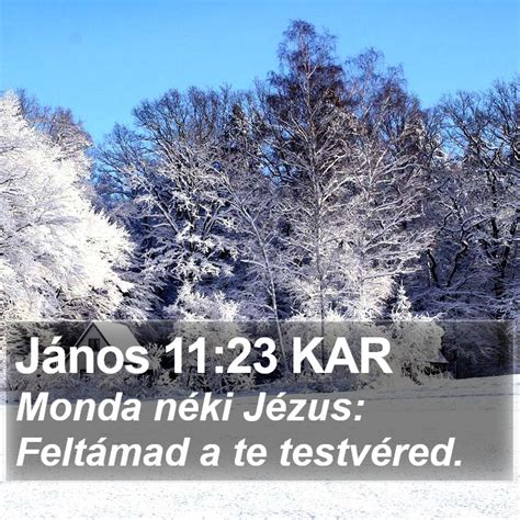 János 11 23 KAR Monda néki Jézus Feltámad a te