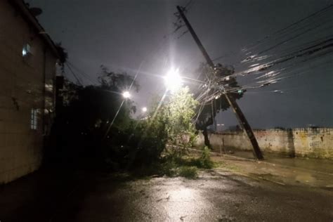 Rvore Cai E Atinge Casa No Bairro Do Cordeiro No Recife Ltimas