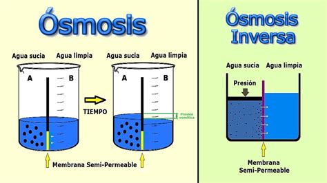 Calidad Del Agua And Ósmosis Inversa J Rpm