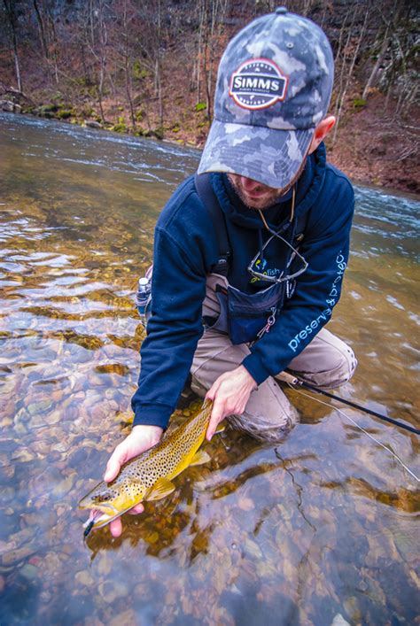 OzarkChronicles Trout Park Montauk State Park