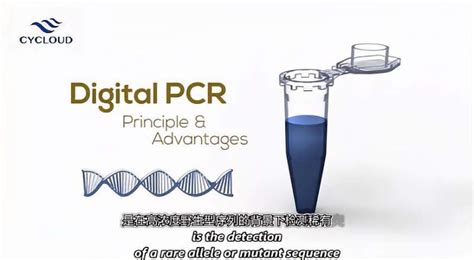 Gene π 数字pcr原理科学科普好看视频