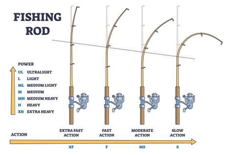 Fishing Rod Action Vs Power What S The Difference Tacklexpert