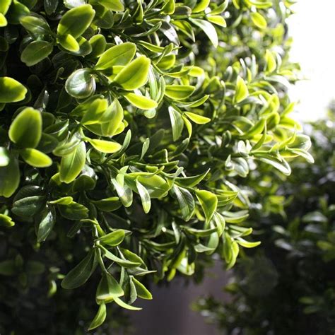 Buxus Bol Deluxe Kunstplant Cm Bol