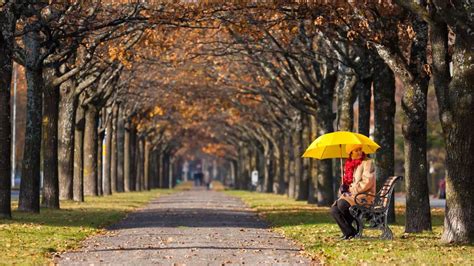 Noi Recorduri De Temperatur Vineri Cea Mai C Lduroas Zi