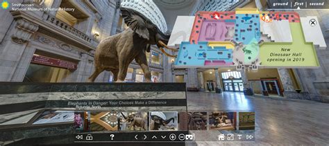 Washington Dcs National Museum Of Natural History One Of The Most