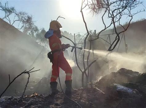 Incendio A Ponte Galeria In Fiamme Una Discarica Abusiva Roma