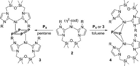 Scheme 1 Synthesis Of 3 And 4 Download Scientific Diagram