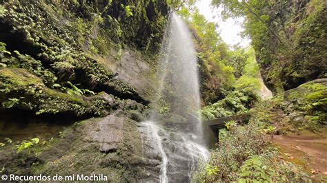 Ruta Por El Bosque De Los Tilos En La Palma