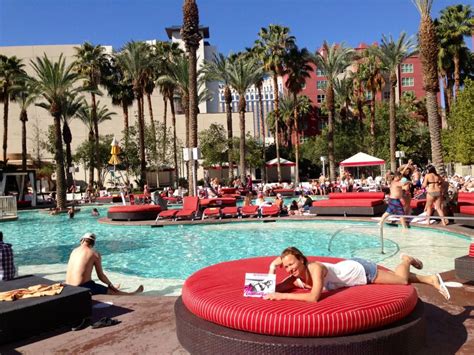 Flamingo Pool in Las Vegas, NV. The daybed rental is worth the comfort ...