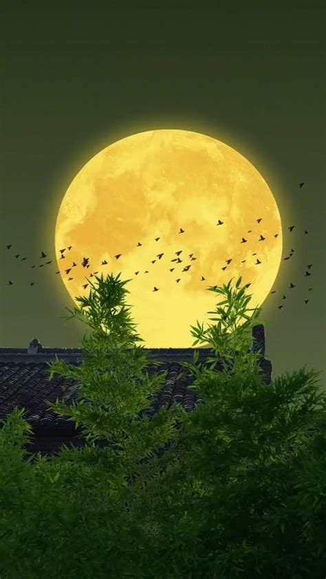 Japanese moon 🌝 | Nature photography, Beautiful nature scenes ...