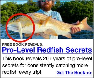 How To Catch Redfish Like A Pro 3 Shortcuts To Success