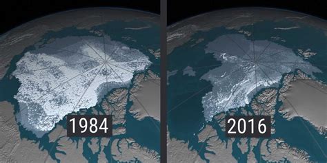 The Drastic Disappearance Of Arctic Ice Business Insider