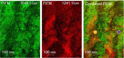 Tapping AFM IR Vs PiFM An In Depth Comparison Molecular Vista