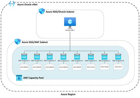 Oracle Database Performance On Azure Netapp Files Multiple Volumes