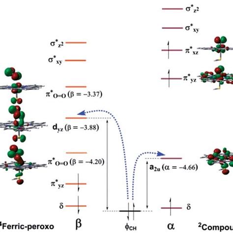 DFT Calculated Energy Diagram For The Isomerization Between 19 Aldehyde