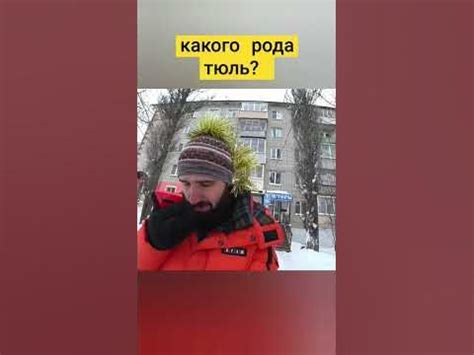 какого рода ТЮЛЬ? #shorts #тюль #микрофонсбоку - YouTube