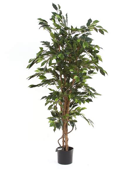 wysokie drzewko sztuczny Fikus 150 cm wysokie drzewko duży Ficus