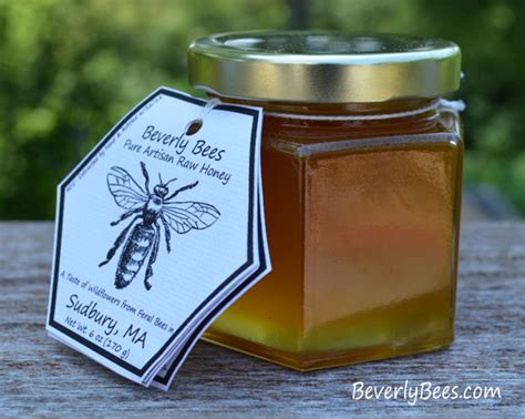 Artisan Honey Varieties - Beverly Bees