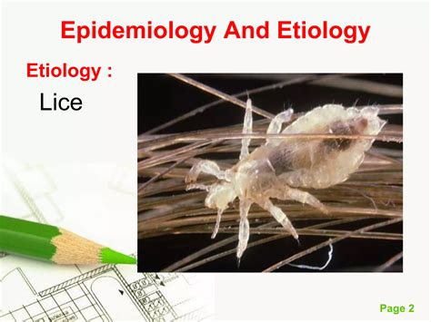 Pediculosis Ppt