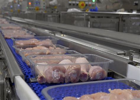 AN Avícola apuesta por el envasado 100 % reciclable - Grupo AN