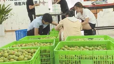 电商扶贫 ：巴州区农产品销售新模式， 打开农民增收新渠道 李子