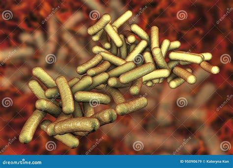 Bacteria Shigella Which Cause Food Borne Infection Shigellosis Stock