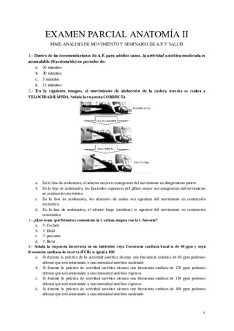 Examen Parcial Anatomia Ii Mmii Analisis De Movimiento Y Seminario De A