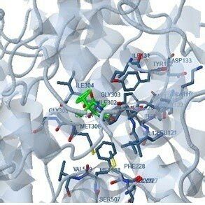 Schematic representation of invertase-mercuric chloride complexes ...