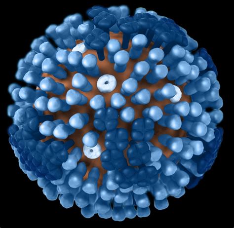 Im Genes De Virus De La Influenza Influenza Estacional Gripe Cdc