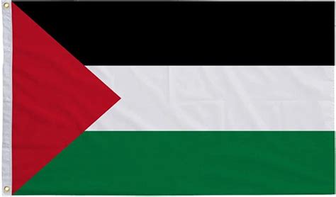 Palestijnse Vlag Palestina 90 X 150 Cm Bol