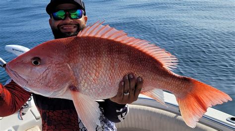 State Water Red Snapper Fishing Limits Catch And Cook Corpus