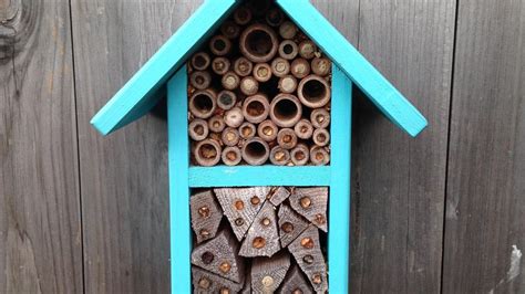 Bee Homes | Save The Bees