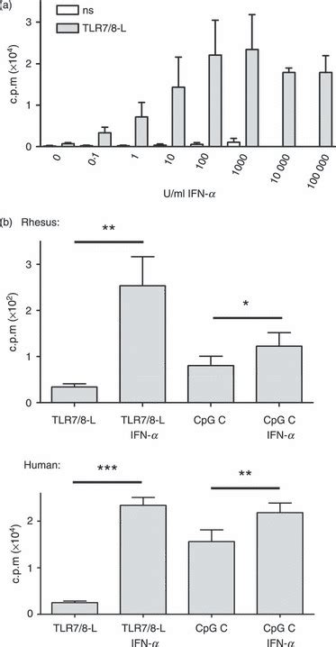 Interferon α Ifn α Enhances B Cell Proliferation To Toll Like Download Scientific Diagram