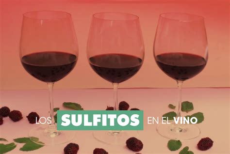 Los Sulfitos En El Vino Qu Es Eso Todo Lo Que Necesitas Saber