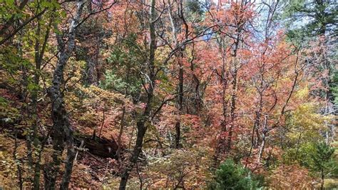 L Quinoxe D Automne Approche Voici Tout Ce Que Vous Devez