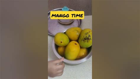 Its Mango Time 😋🥭😍mango Love Diy Youtube