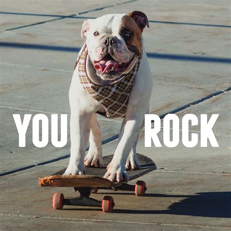 You Rock - Spring Creative Advertising Branding Design Agency Vancouver