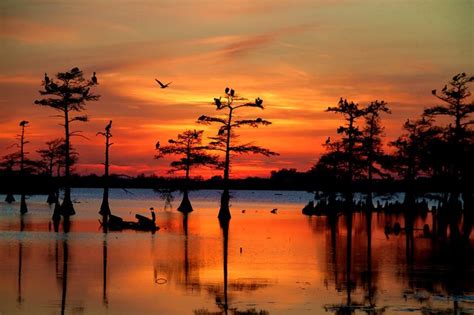 Louisiana Scenery Wallpaper - WallpaperSafari