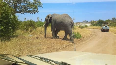 Safari de 3 días al Cráter del Ngorongoro Empakai y Tarangire