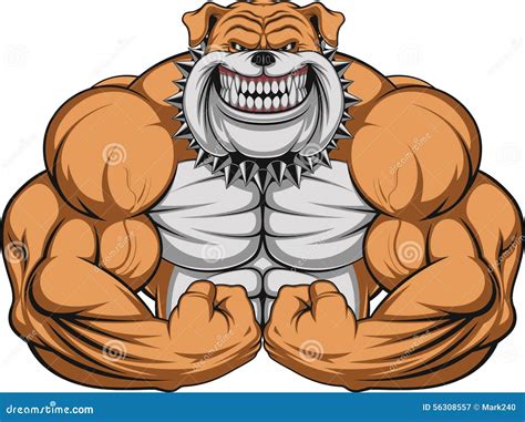 Angry Dog Stock Vector Illustration Of Icon Bodybuilder 56308557