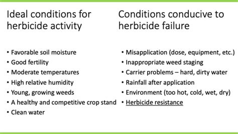 Pre Harvest Weed Scouting And Herbicide Resistance Alberta Grains