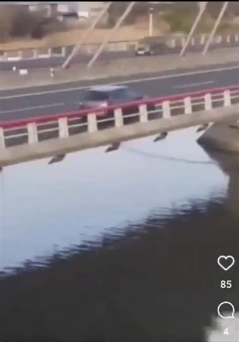 Un Joven Se Lanza A La Ría Desde El Techo De Un Coche Que Circulaba Por Cantabria El Diario Vasco